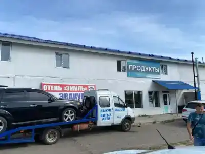 Эмиль - 9