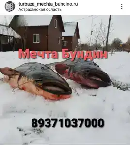 Мечта - 34