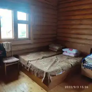 Золотой карп - 17