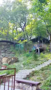 Инфанта - 31