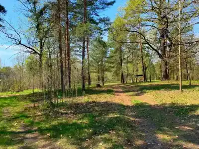 Панорама - 4