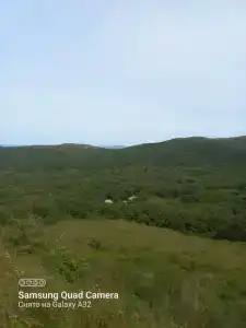 Бухта - 50