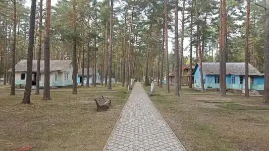 Новокемп - 15