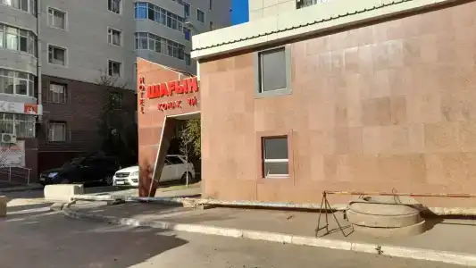 Шагын - 4