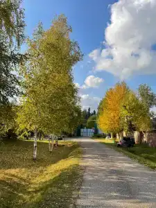 Зелёный остров - 62