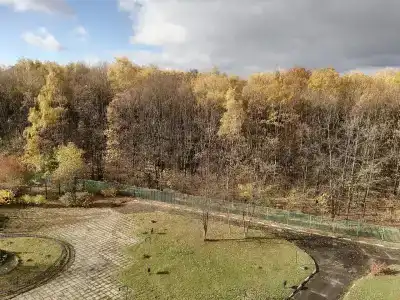 Паллада - 48