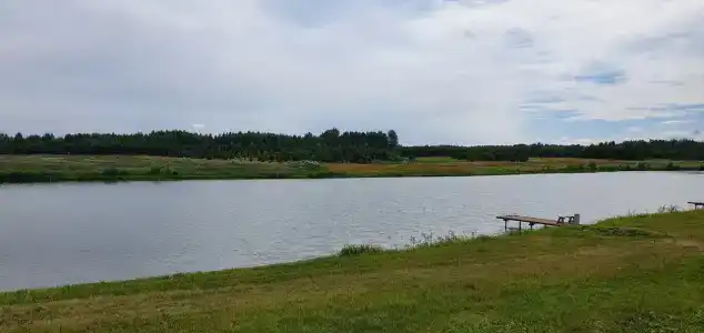 Королевская охота - 62