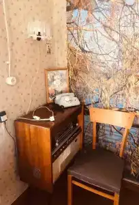 Шальский домик - 14