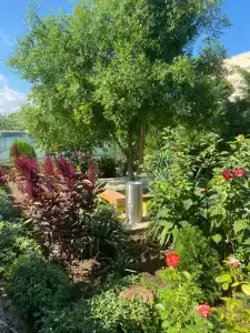 Manor Beach Kazantip - 65