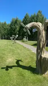 Заимка - 44