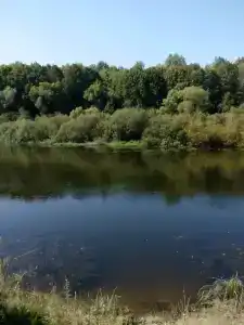 Жуковский - 19
