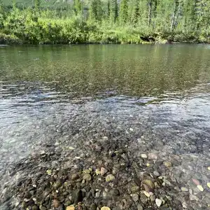 Сердце Севера - 30