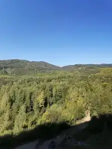 Под мухой - 5