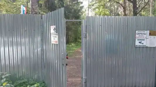 Сосновый бор - 6