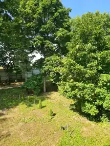 Новое Уручье - 14