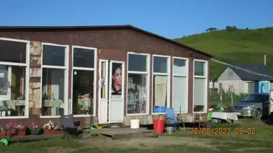 Зелёная полянка - 0