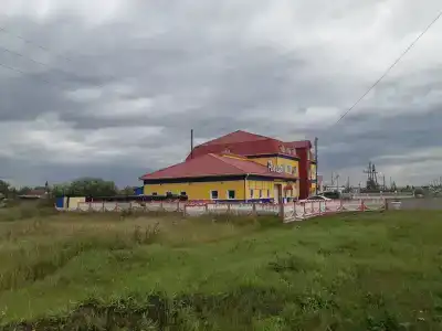Амида - 9