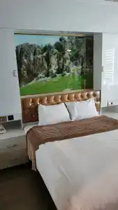 Gherdan Gold - 12