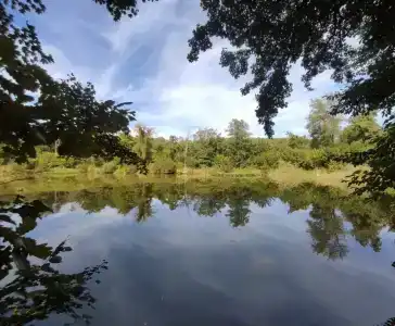 Водолей - 49