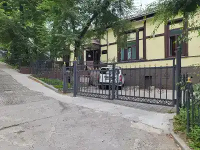Золотой Феникс - 9