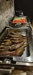 Fat Fish - 36