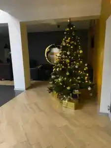 Мегаполис - 14