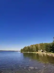 Поляна - 16