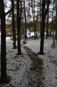 Приречное - 47