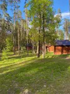 Иволга - 22