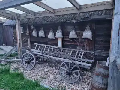 Беловежское Поместье - 90