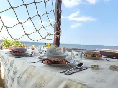 Барабуля - 17