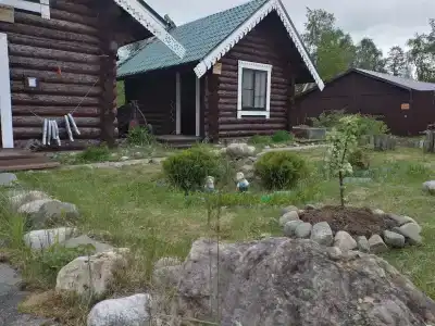 Онежский петроглиф - 1