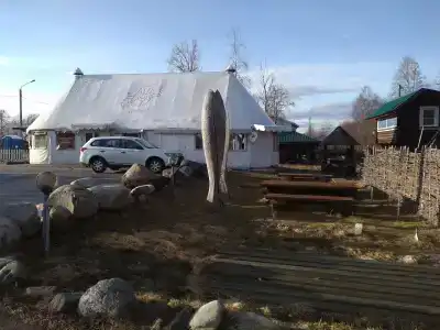 Онежский петроглиф - 2