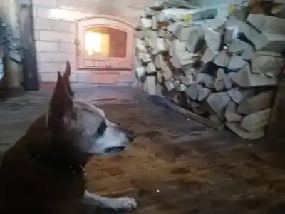 Медвежье урочище - 47