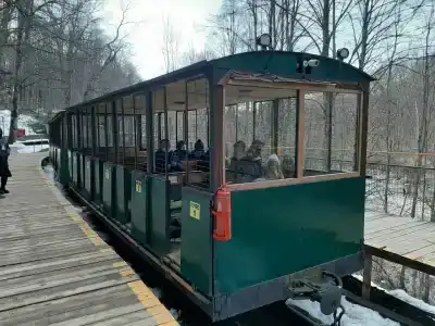 Сова - 9