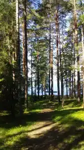 База Сокол, озеро Глубокое - 92