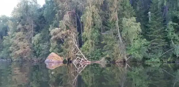 Семейный домик у озера - 32