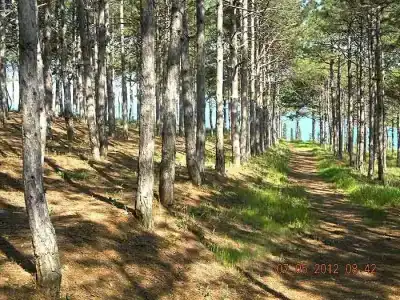 Куклиных - 6