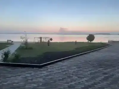 Березовая роща - 4