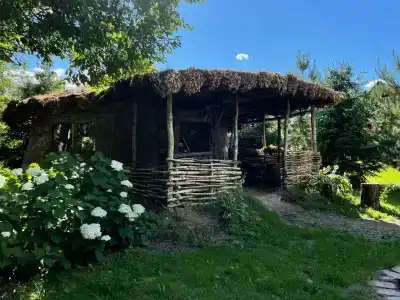 Медвежье урочище - 3