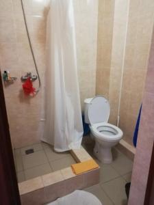 Виолетта - 24