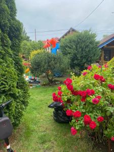 Гостевой дом Элиза Заркау - 33