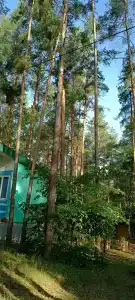 Сура - 63