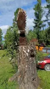 Вершина Алтая - 4