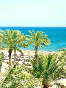 Palace Beach Resort - 31