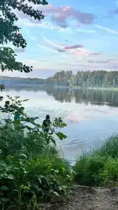 Лесная сказка - 91
