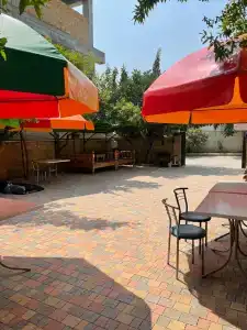 Кипарис - 21
