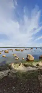 Бухта желтая - 66