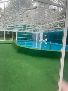 Сосновый Бор - 10
