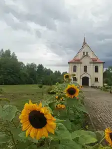 Тюниных - 16